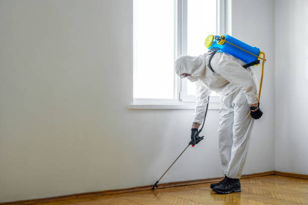 Best Residential Pest Control  in Southern Pines, NC